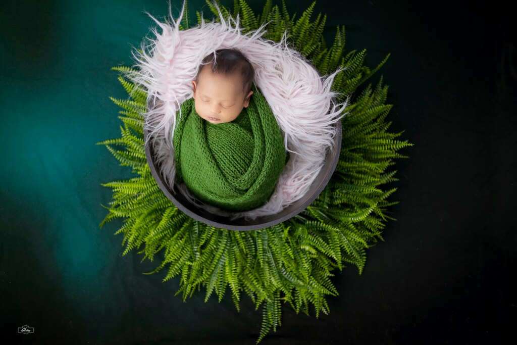 Newborn Green Setup 109